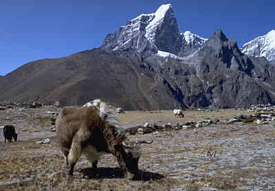 Lady Tours - Frauenreisen