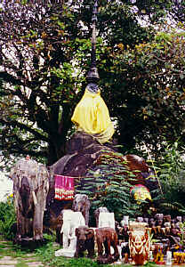 Doi Tschang Muhp, Nachbar-Berg des Doi Thung, Mae Sai  (21.0 K)